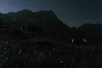 2015-07-01_2Drijaggenalm (397)b.JPG